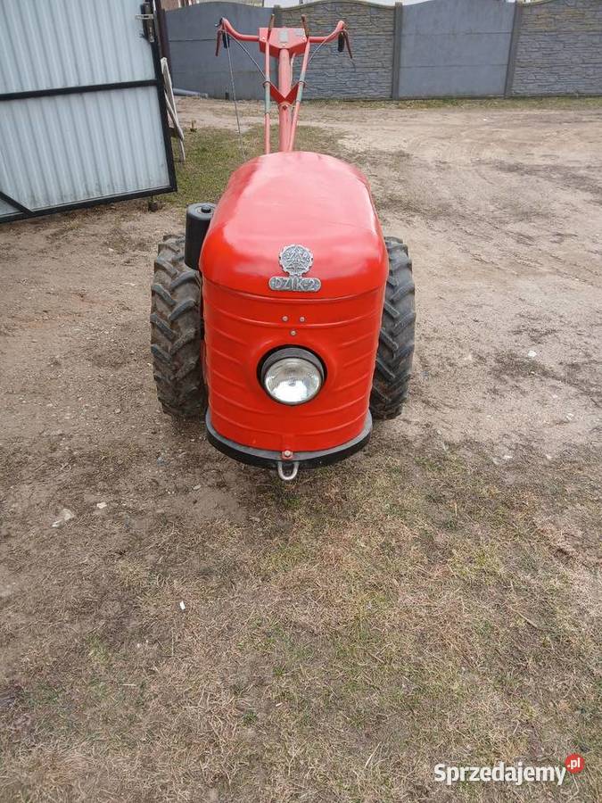 Sprzedam dzik2 nieuszkodzony Rolnictwo Łomża