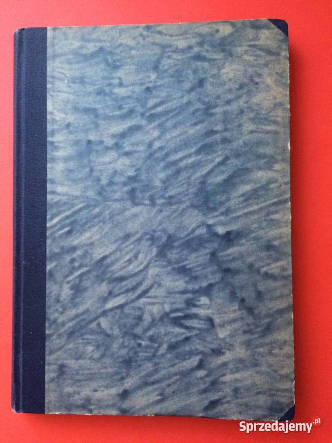 371 Szczecin Fakty I Liczby zachodniopomorskie