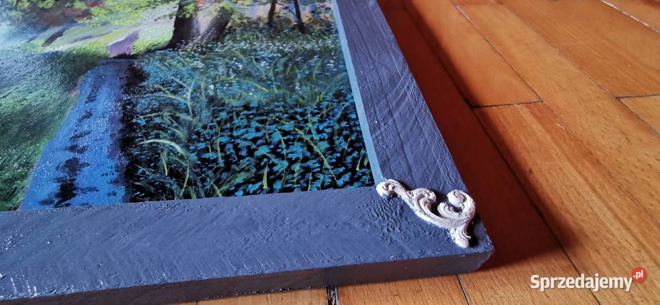 Obraz akrylowy leśna idylla Ryjewo