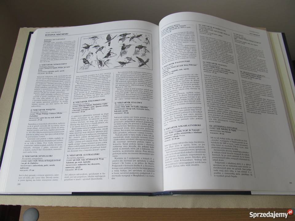 WIELKA ENCYKLOPEDIA PTAKÓW Perrins ChM Zielona Góra sprzedam