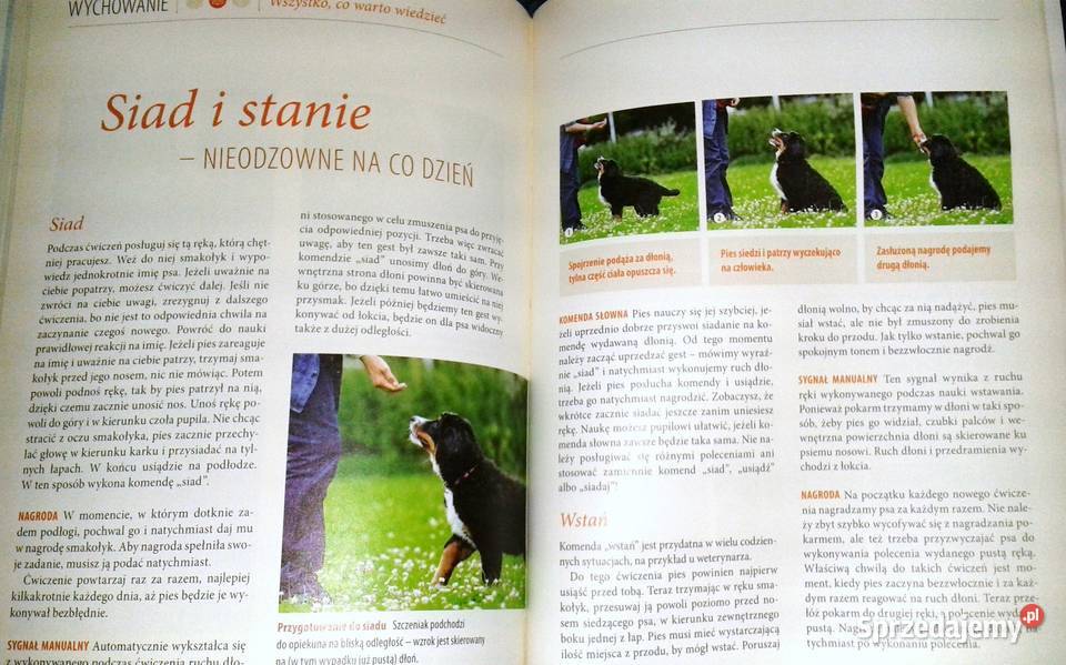 Wychowywanie psa Renate Jones lubelskie sprzedam