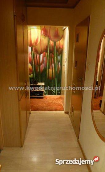 mieszkanie 5400m2 3 pokoje Knurów Knurów