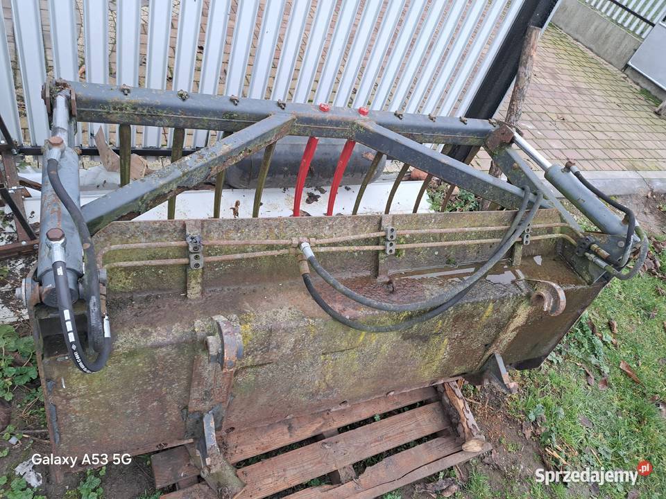 Łyżkokrokodyl w b stanie