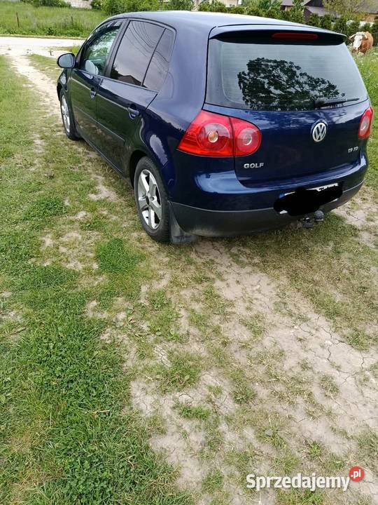 Volkswagen Golf 5 Rok produkcji 2004 Stopnica