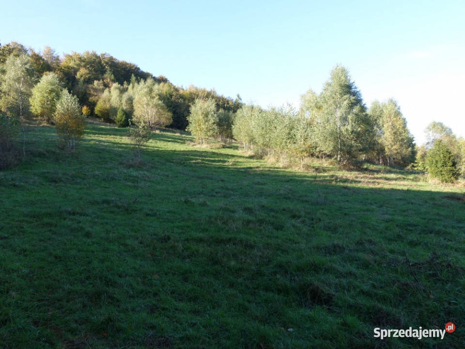 Brenna 253 ha działka inwestycyjna wyciągu Sprzedaż Sprzedaż