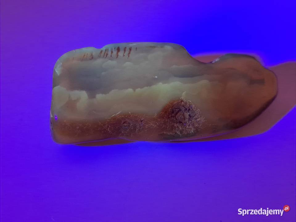 Broszka z bursztynu bursztyn bryłka 1489 Warszawa