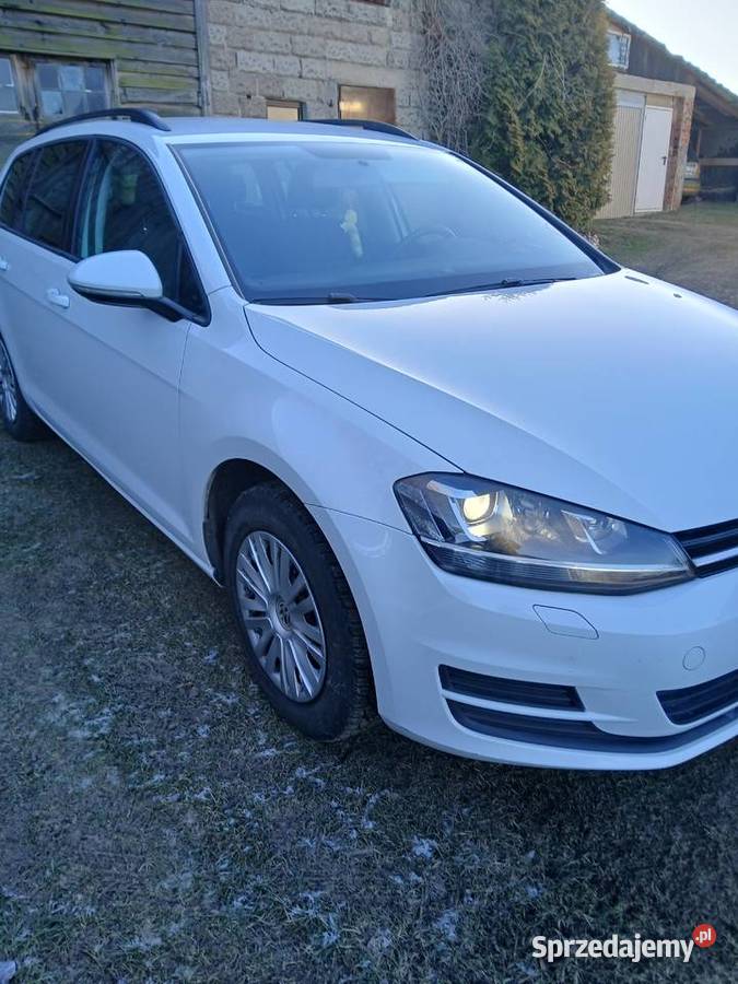 Volkswagen Golf VII Kombi 16 TDI Rok produkcji 2016 dolnośląskie Zagrodno