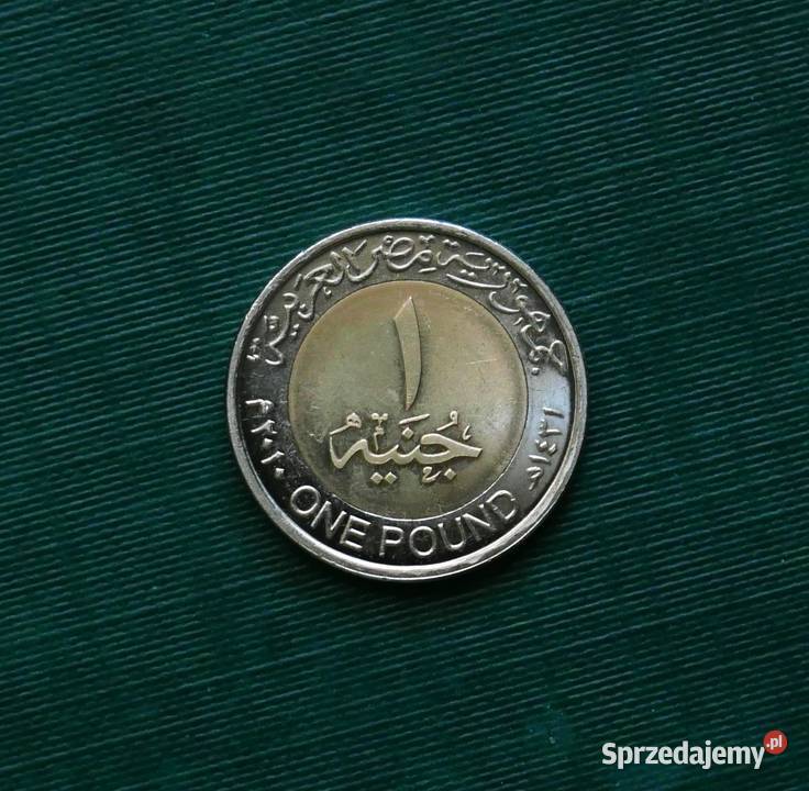 EGIPT 1 funt 2010r sprzedam