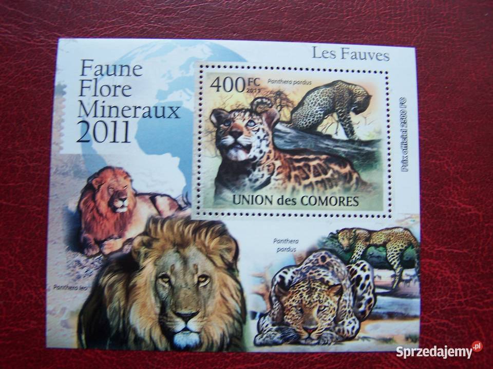 Komory 2011 MNH Dzikie koty Afryki Nakład 2500 Tychy