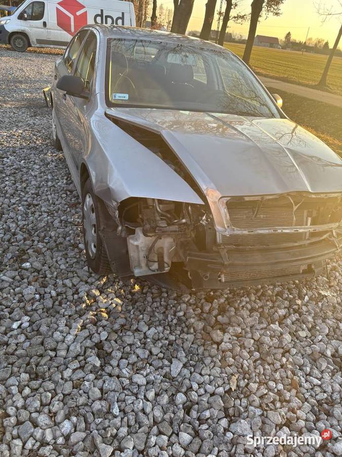 Skoda Octavia II 16 MPI 102 LPG 2007 199