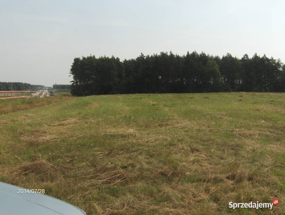 Wydzierżawię 75 hektara gruntów rolnych w Grunty i działki Kraśnik Dolny