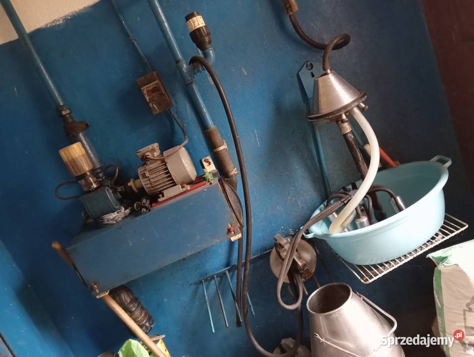 Dojarka alfa laval Skulsk