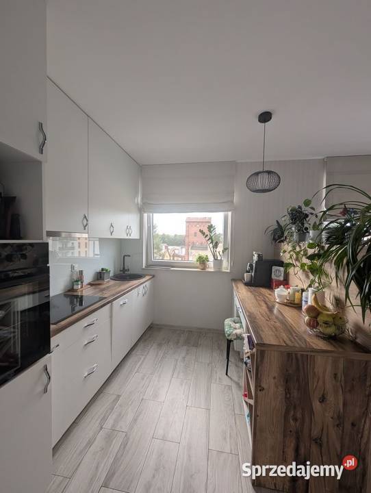 4pok 61met Stabłowickiej BALKONWINDA Wrocław Sprzedaż