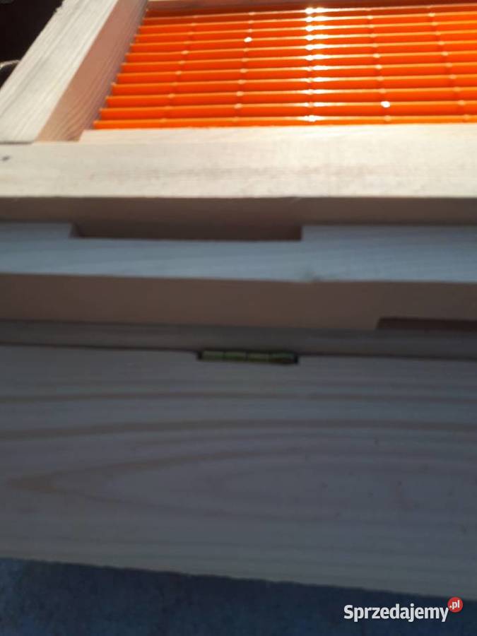 Ule wielkopolskie dennica z poławiaczem pyłku Tanina