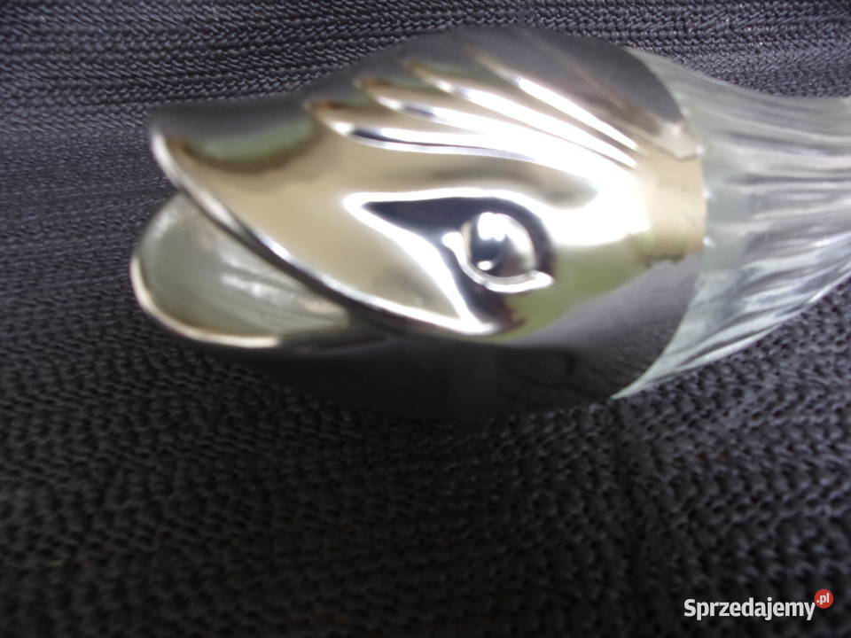 Piekny stary Wielory z otwartą paszczą szkło