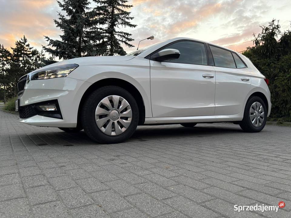 Skoda Fabia IV 10 TSI LPG Selection DSG bluetooth śląskie Czechowice-Dziedzice