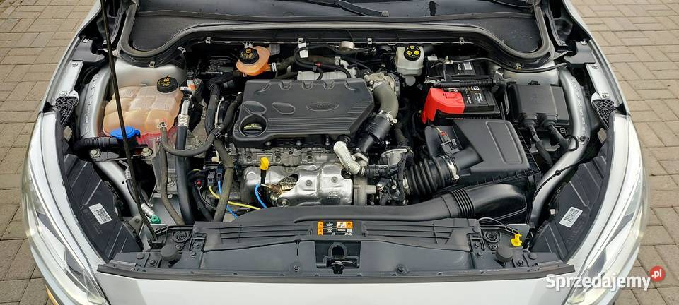 Ford Focus 2019NaviGrzana Kierownica klimatyzacja
