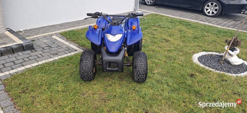 Quad Adly 50 nie kayo Loncin Bashan Kamień Śląski