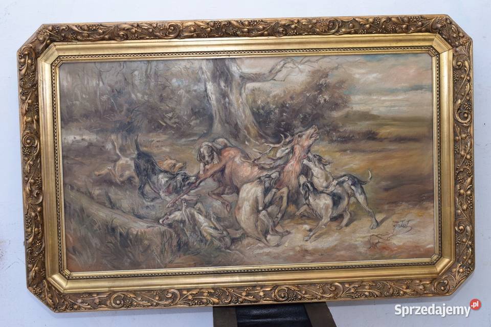 J Fałat Atak Psów na Jelenia Łoś Jeleń Natura Kraków sprzedam