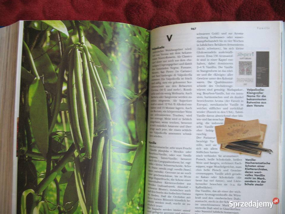 Das Gourmet Handbuch Udo Pini Siedlce sprzedam