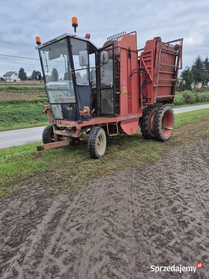 Kombajn do selerów buraków warzyw Italo Svizzera Proszowice sprzedam