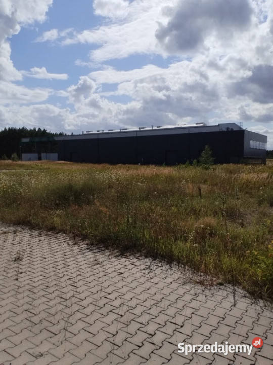 Działka zabudowana budynkiem biurowym i halą wielkopolskie Łowyń