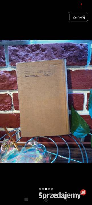 antoni słonimski kroniki tygodniowe 19271939 kujawsko-pomorskie Bydgoszcz