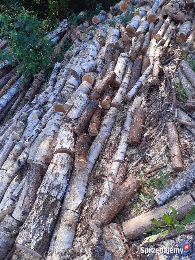 Drewno opałowe miękkie suche klocki metry sosna Dom i Ogród Rzeszów sprzedam
