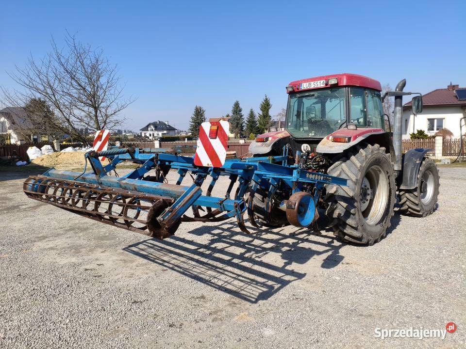 Bezorkowiec czterobelkowiec rabe Motycz