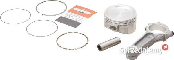 Tłok silnika kpl 844009