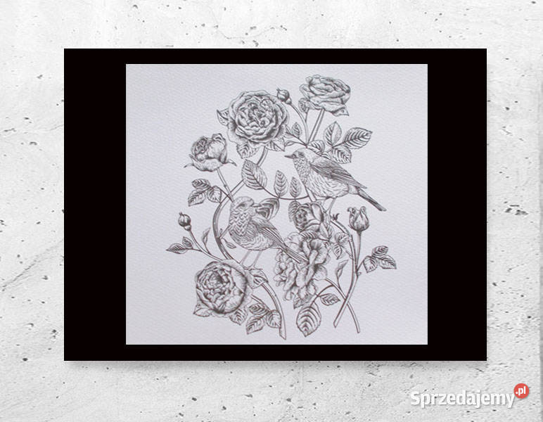 czarno biały plakat z ptaszkami ptaszki plakat podlaskie Białystok