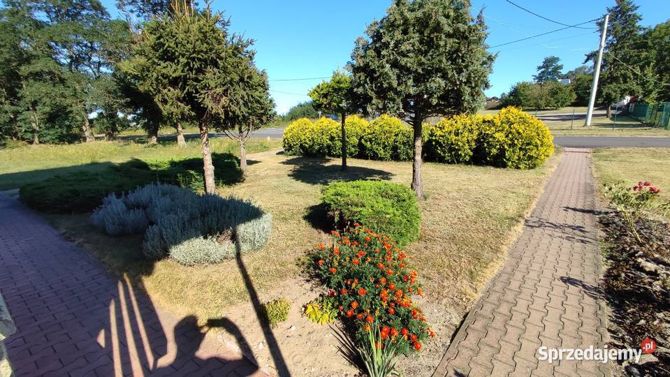 WYJĄTKOWY DOM Z ANTRESOLĄ POD LASEM PRZYBYŁÓW ogródek Przybyłów