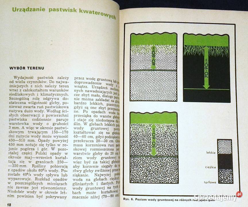 Kwaterowe użytkowanie pastwiska Zygmunt lubelskie Chełm