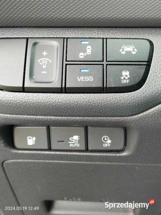 Hyundai Ioniq Wilczyce