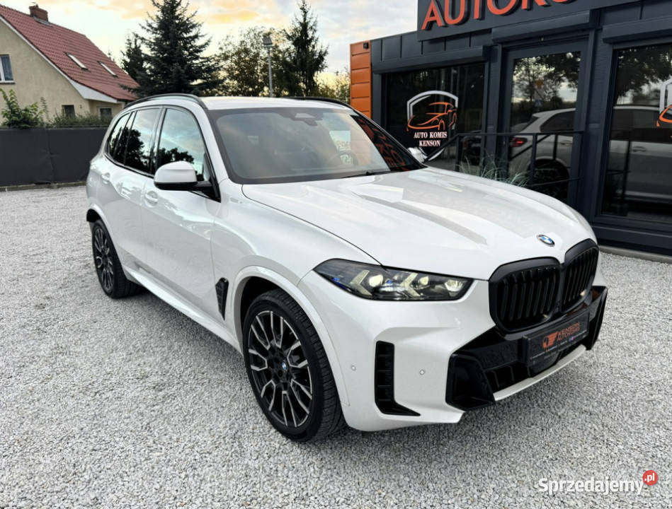 BMW X5 Polski Salon FV23 1Wł Mild przyciemniane szyby Bydgoszcz