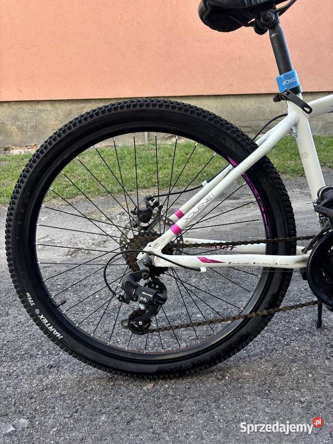 Sprzedam rower Romet 26 zadbany i sprawny zachodniopomorskie Radowo Wielkie