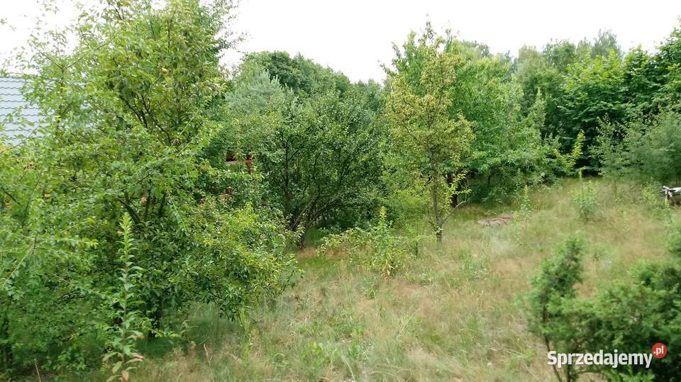 działka rekreacyjna jeziorem kujawsko-pomorskie Mielinek