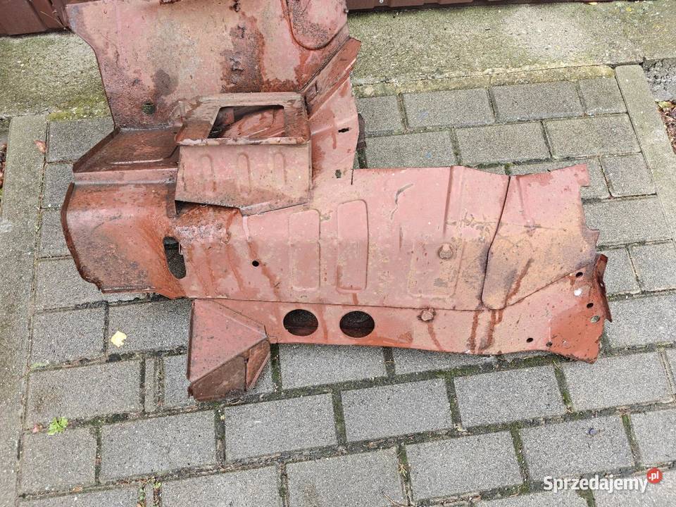 Poloneza ćwiartka podłużnica prawa Caro Borewicz Międzyrzecz