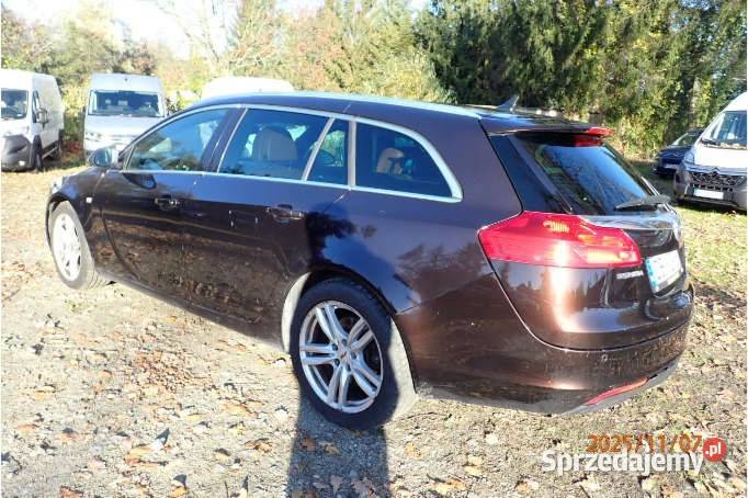 OPEL INSIGNIA 2011 1956 ccm 160