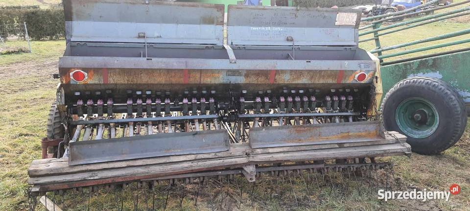 Siewnik poznaniak Sanok