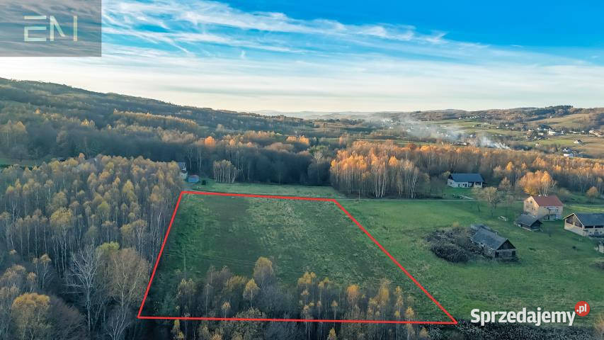 Do sprzedaży działka Glinik Górny 7639m2 Sprzedaż