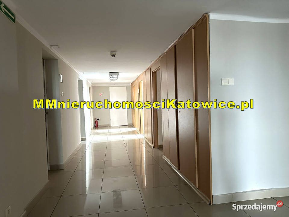 Nowoczesny biurowiec Katowice Szopienice szybki