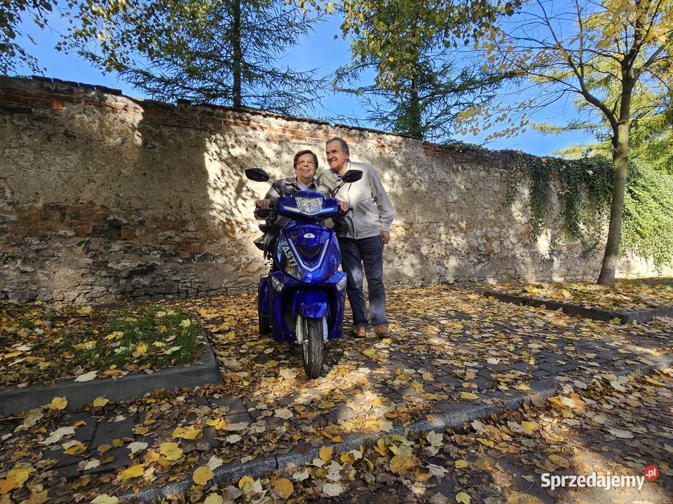 Skuter elektryczny czterokołowy Fasti 3 Pozostałe