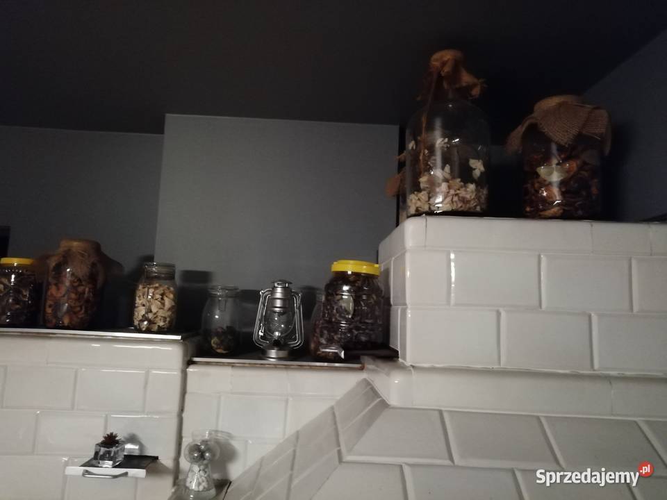 Grzyby suszone prawdziwki podgrzybki lejkowiec świętokrzyskie Leśne Chałupy