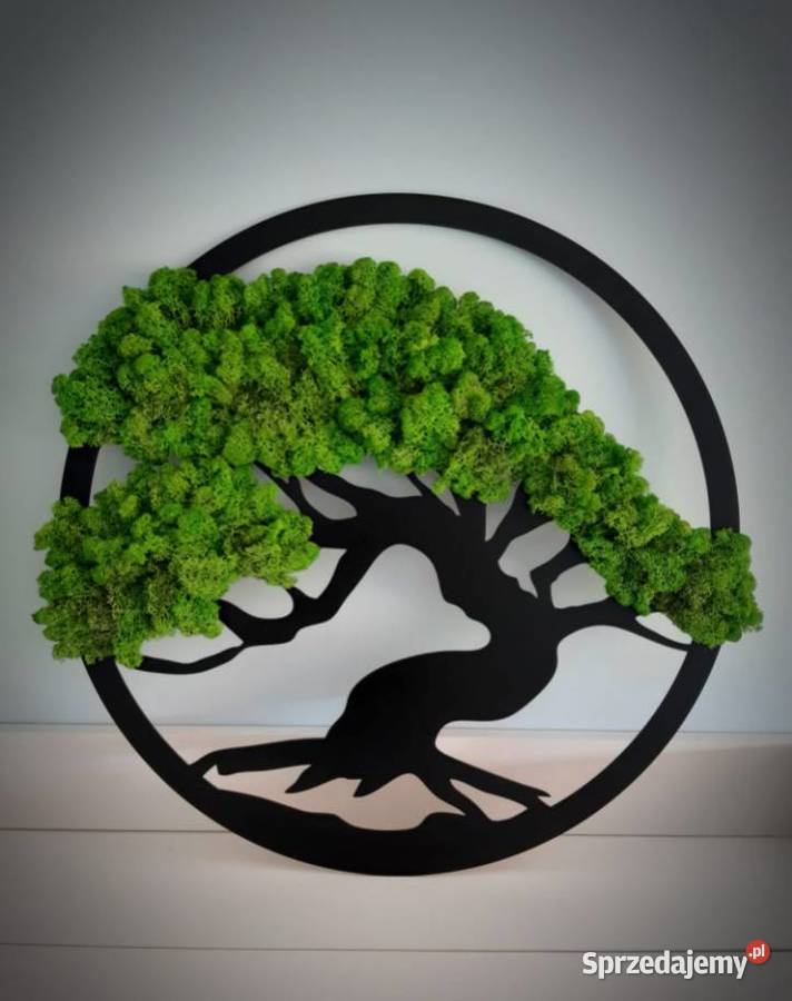 Drzewo bonsai mech chrobotek MAGIA CHROBOTKA