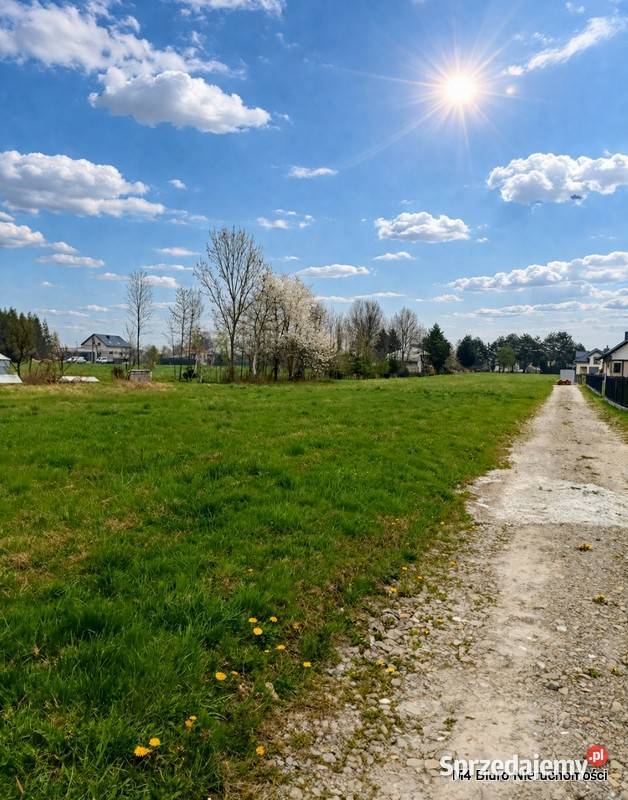 DWIE SŁONECZNE DZIAŁKI W PUSTYNACH sprzedam