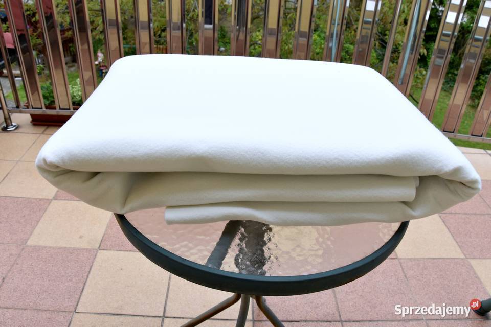 Filc do magla Wolica