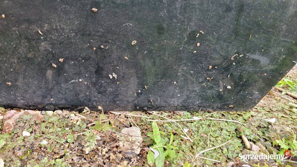 Drzwi Opel Vectra B Łagów