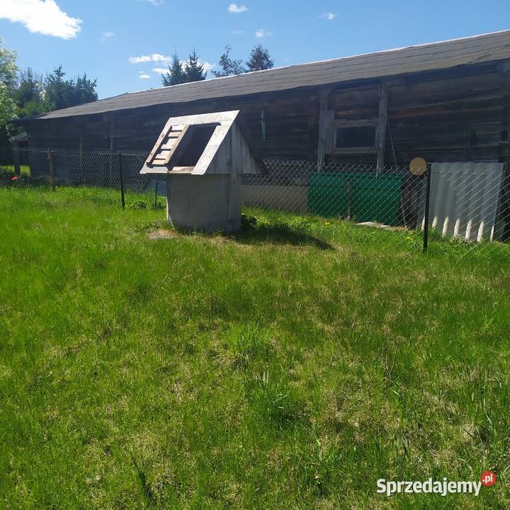 Malownicze siedlisko z domem w gminie Narew Gradoczno sprzedam