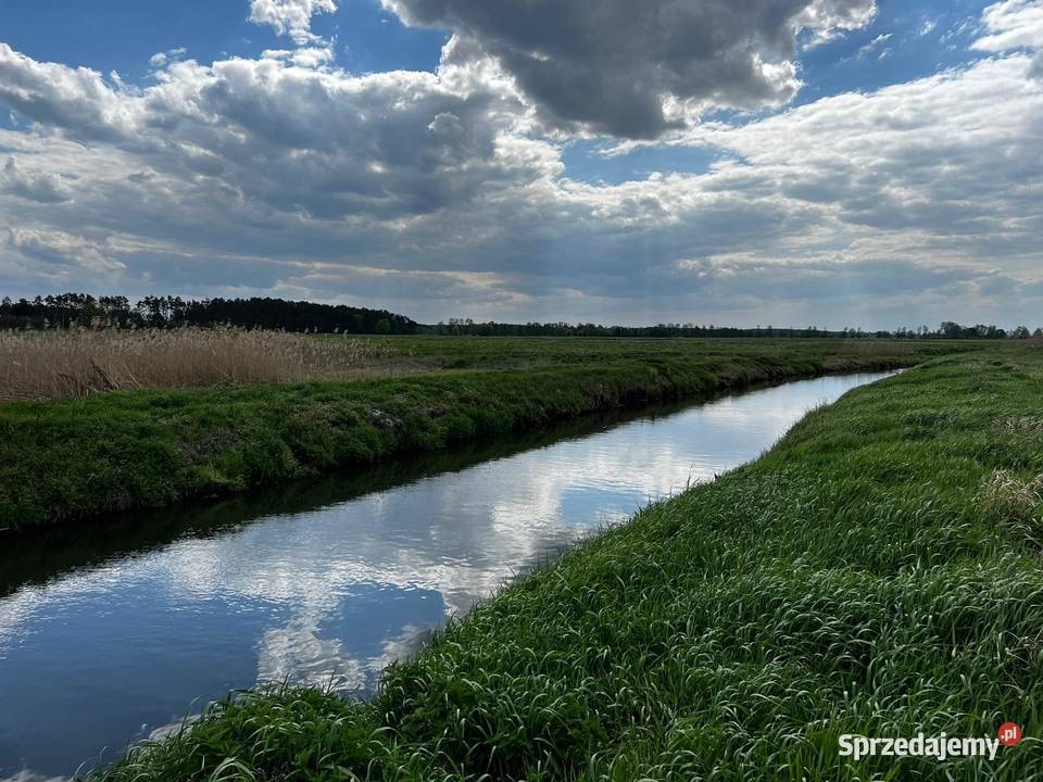 Działka z linią brzegową rzeki Kołczyn sprzedam